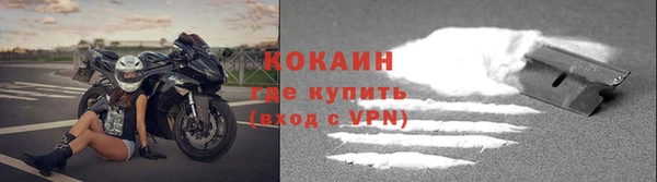 дживик Козловка