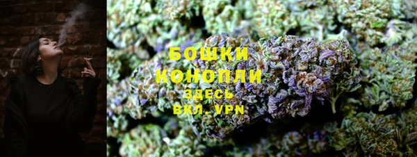 ГАЛЛЮЦИНОГЕННЫЕ ГРИБЫ Кодинск