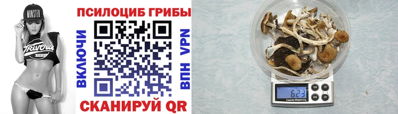 Галлюциногенные грибы Psilocybine cubensis  Купить где  Нягань 
